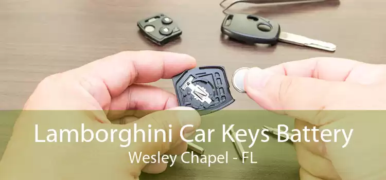 Lamborghini Car Keys Battery Wesley Chapel - FL