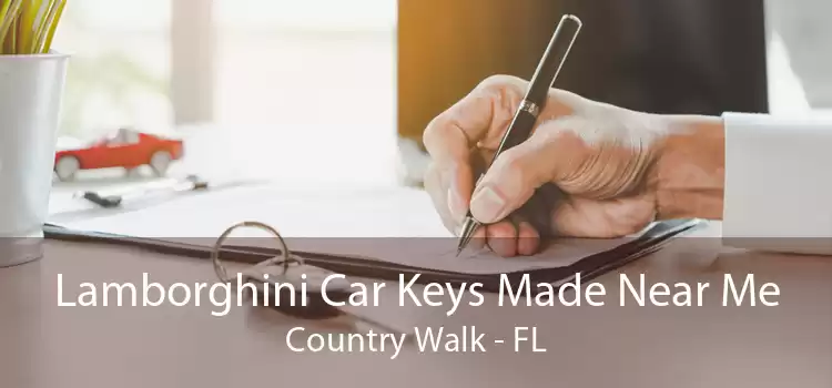 Lamborghini Car Keys Made Near Me Country Walk - FL