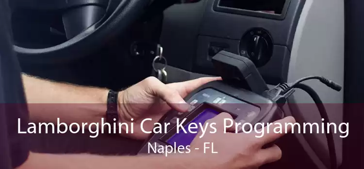 Lamborghini Car Keys Programming Naples - FL