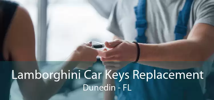 Lamborghini Car Keys Replacement Dunedin - FL