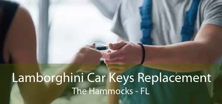Lamborghini Car Keys Replacement The Hammocks - FL