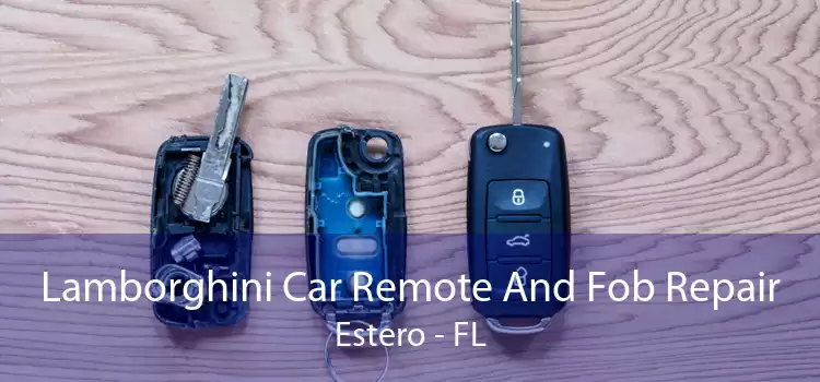 Lamborghini Car Remote And Fob Repair Estero - FL