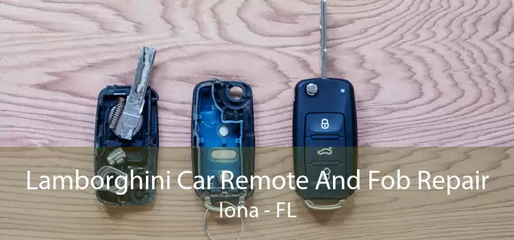 Lamborghini Car Remote And Fob Repair Iona - FL