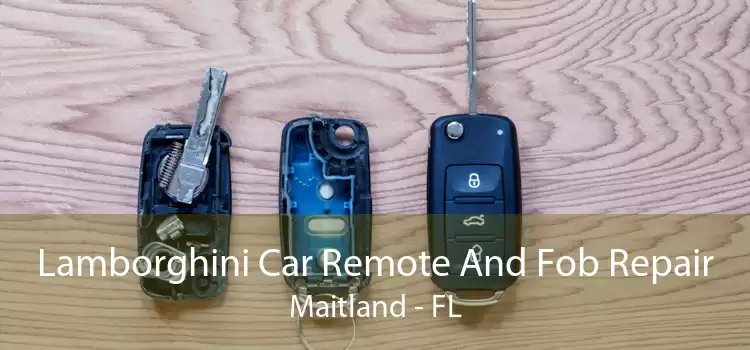 Lamborghini Car Remote And Fob Repair Maitland - FL