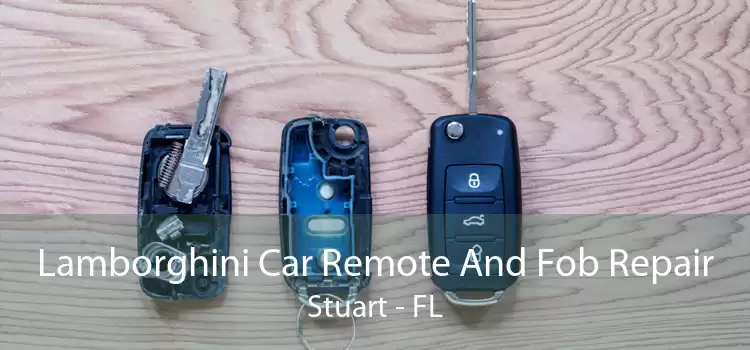Lamborghini Car Remote And Fob Repair Stuart - FL