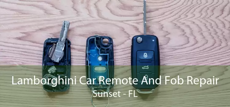 Lamborghini Car Remote And Fob Repair Sunset - FL