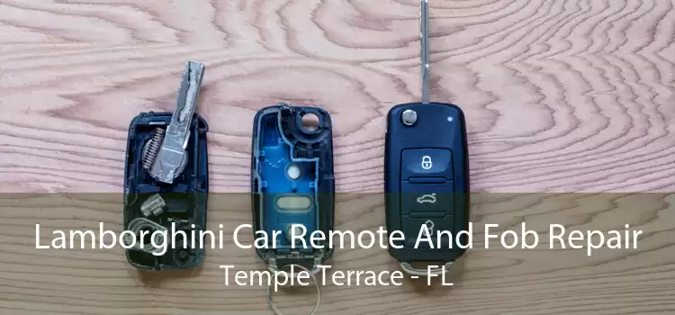 Lamborghini Car Remote And Fob Repair Temple Terrace - FL