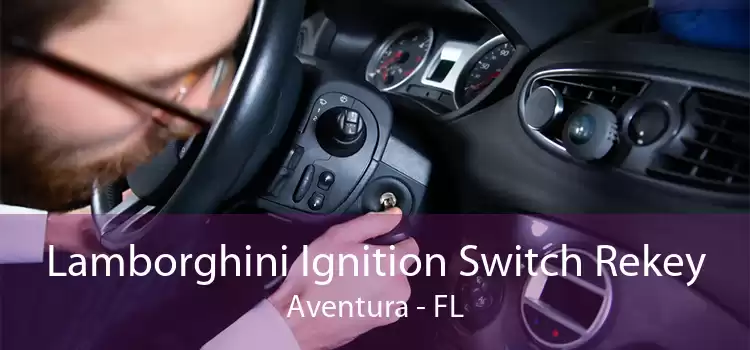 Lamborghini Ignition Switch Rekey Aventura - FL