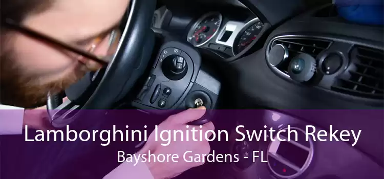 Lamborghini Ignition Switch Rekey Bayshore Gardens - FL