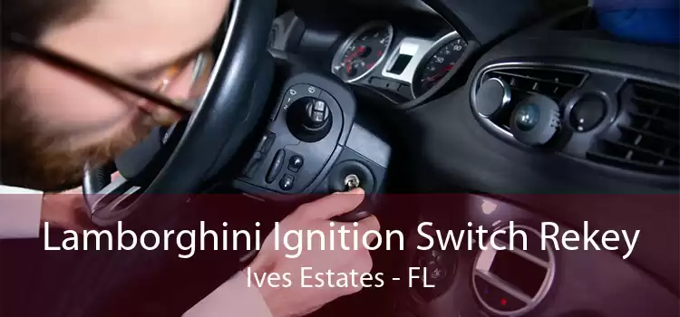 Lamborghini Ignition Switch Rekey Ives Estates - FL