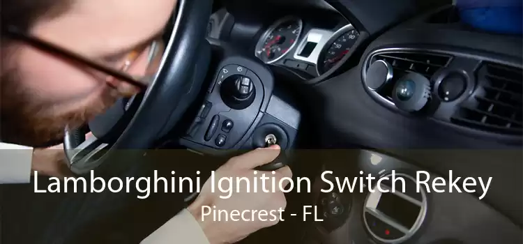 Lamborghini Ignition Switch Rekey Pinecrest - FL