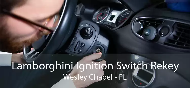 Lamborghini Ignition Switch Rekey Wesley Chapel - FL