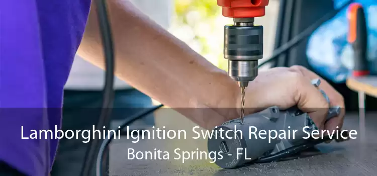 Lamborghini Ignition Switch Repair Service Bonita Springs - FL