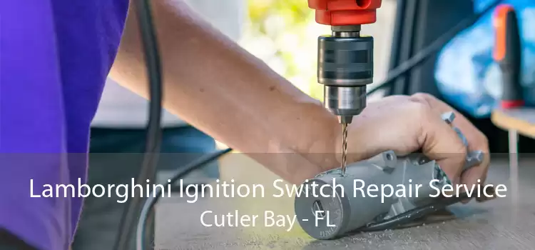Lamborghini Ignition Switch Repair Service Cutler Bay - FL