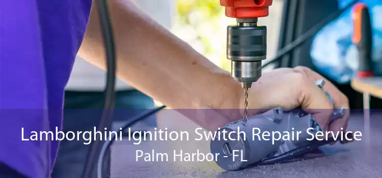 Lamborghini Ignition Switch Repair Service Palm Harbor - FL