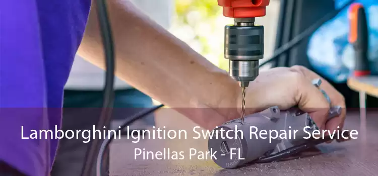 Lamborghini Ignition Switch Repair Service Pinellas Park - FL