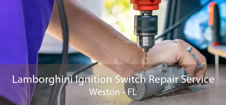 Lamborghini Ignition Switch Repair Service Weston - FL