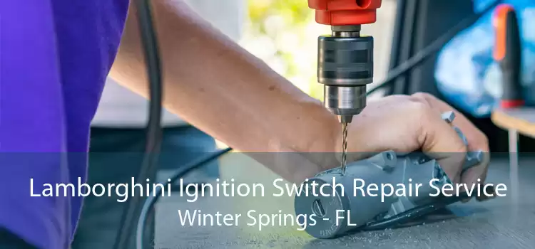 Lamborghini Ignition Switch Repair Service Winter Springs - FL