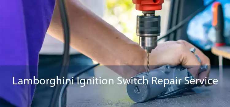 Lamborghini Ignition Switch Repair Service 