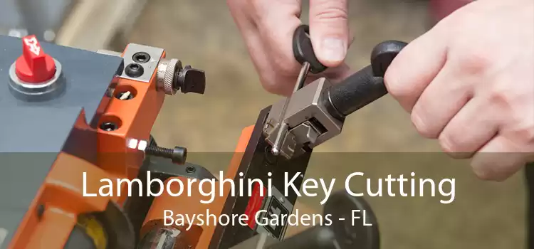 Lamborghini Key Cutting Bayshore Gardens - FL