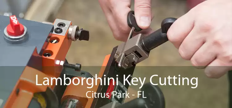 Lamborghini Key Cutting Citrus Park - FL