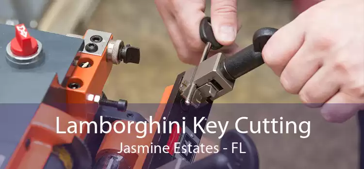 Lamborghini Key Cutting Jasmine Estates - FL