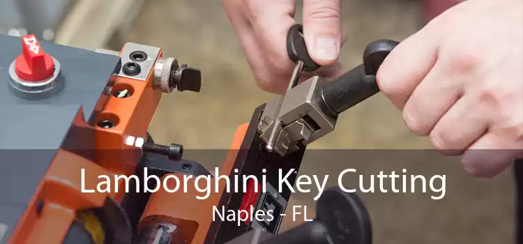 Lamborghini Key Cutting Naples - FL
