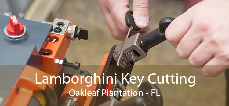 Lamborghini Key Cutting Oakleaf Plantation - FL