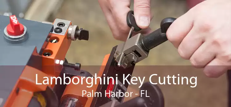 Lamborghini Key Cutting Palm Harbor - FL