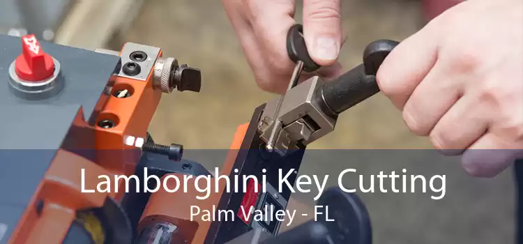 Lamborghini Key Cutting Palm Valley - FL