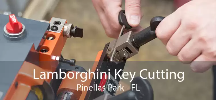 Lamborghini Key Cutting Pinellas Park - FL