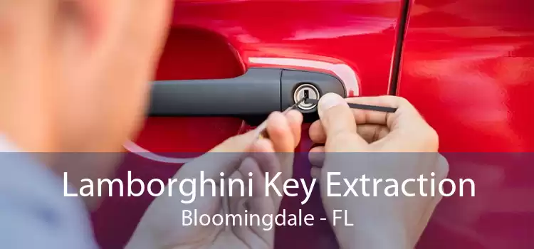 Lamborghini Key Extraction Bloomingdale - FL
