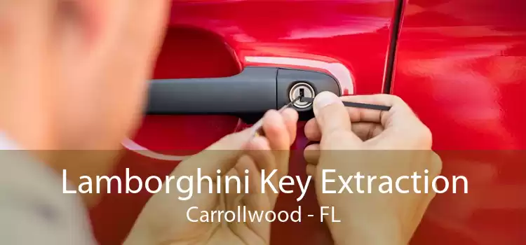 Lamborghini Key Extraction Carrollwood - FL