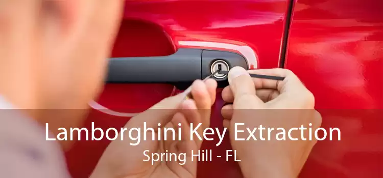 Lamborghini Key Extraction Spring Hill - FL