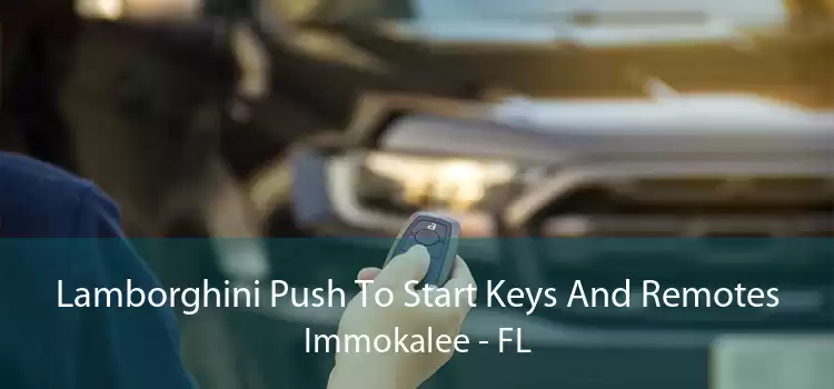 Lamborghini Push To Start Keys And Remotes Immokalee - FL