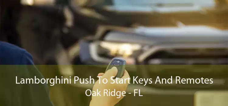 Lamborghini Push To Start Keys And Remotes Oak Ridge - FL