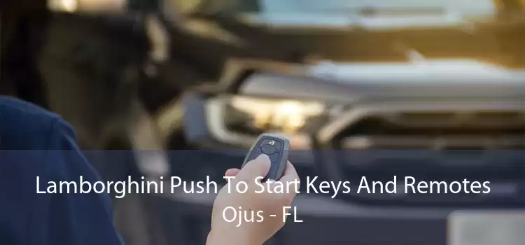 Lamborghini Push To Start Keys And Remotes Ojus - FL