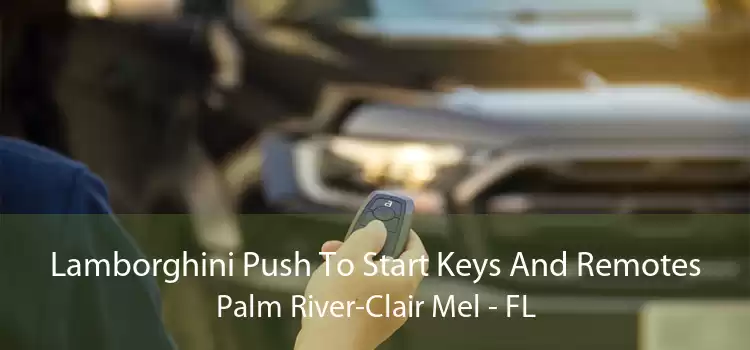 Lamborghini Push To Start Keys And Remotes Palm River-Clair Mel - FL