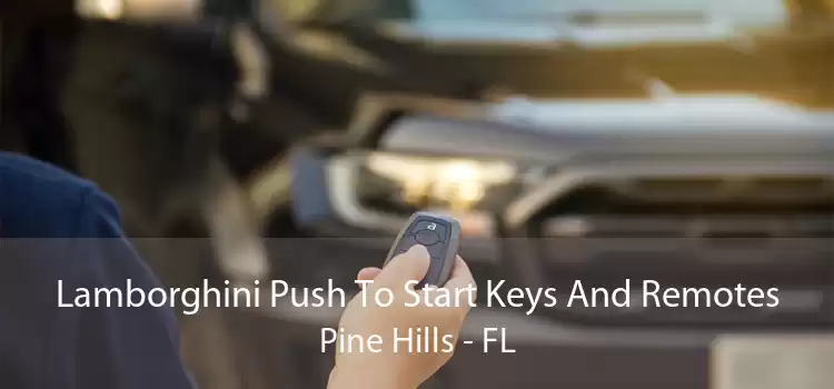 Lamborghini Push To Start Keys And Remotes Pine Hills - FL