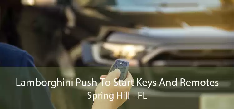 Lamborghini Push To Start Keys And Remotes Spring Hill - FL