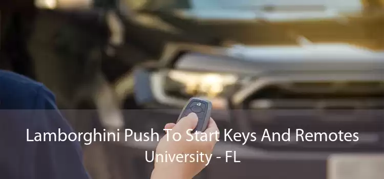 Lamborghini Push To Start Keys And Remotes University - FL