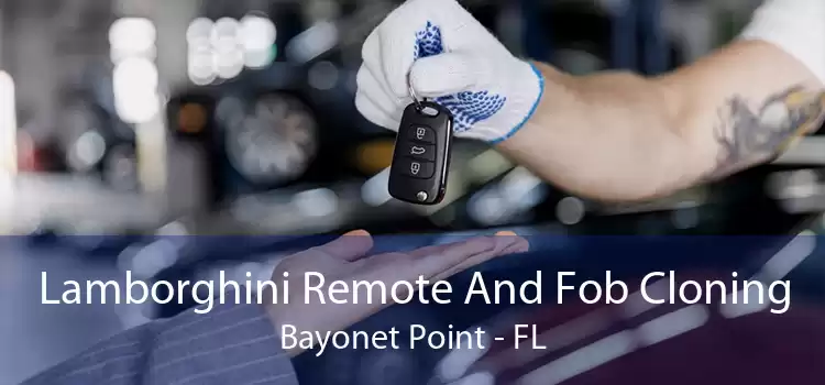 Lamborghini Remote And Fob Cloning Bayonet Point - FL