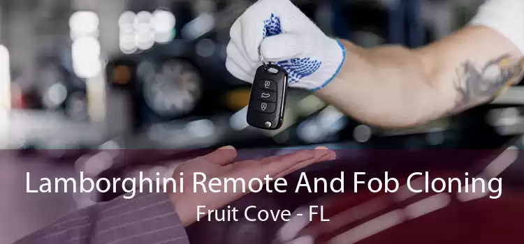Lamborghini Remote And Fob Cloning Fruit Cove - FL