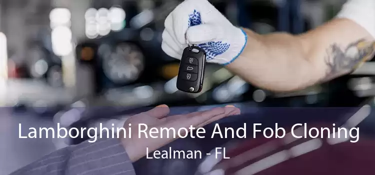 Lamborghini Remote And Fob Cloning Lealman - FL