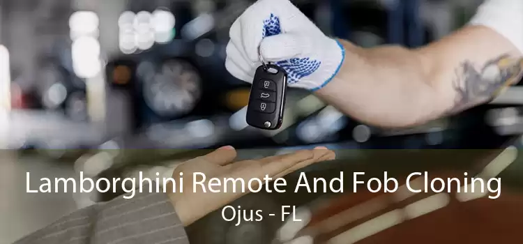 Lamborghini Remote And Fob Cloning Ojus - FL