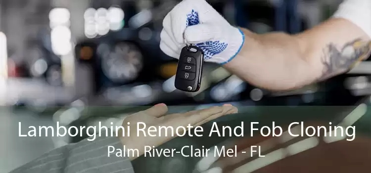 Lamborghini Remote And Fob Cloning Palm River-Clair Mel - FL