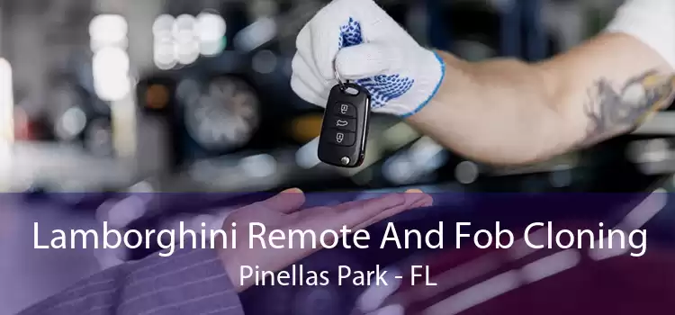 Lamborghini Remote And Fob Cloning Pinellas Park - FL
