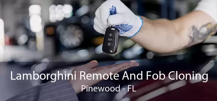 Lamborghini Remote And Fob Cloning Pinewood - FL
