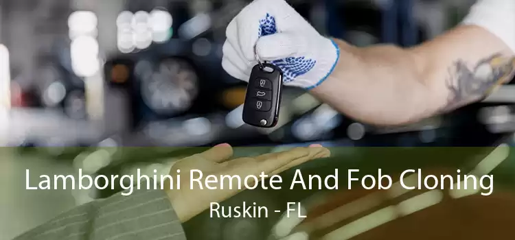 Lamborghini Remote And Fob Cloning Ruskin - FL
