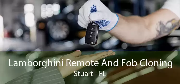 Lamborghini Remote And Fob Cloning Stuart - FL